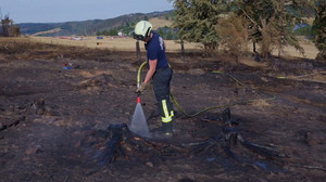 Größter Waldbrand in Thüringen seit Jahren - Feuer noch nicht gestoppt