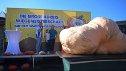 Fast eine Tonne: Brandeburgs Mega-Kürbis gekürt