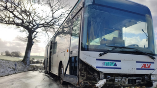 Bus prallt bei Neustadt gegen einen Baum