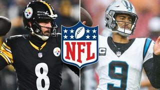 NFL: Letzte Play-off-Plätze für Steelers und Panthers