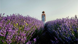 "Ich habe unsere Entscheidung nie bereut": Marleen (64) lebt seit 16 Jahren in Tasmanien