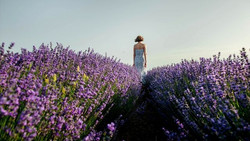 "Ich habe unsere Entscheidung nie bereut": Marleen (64) lebt seit 16 Jahren in Tasmanien