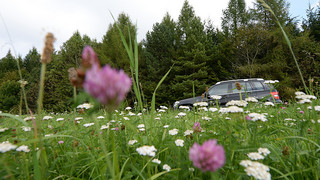 Lack & Leder: Frühlingstipps für Autofahrer