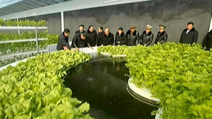 Hier fängt Kim Jong Un einen Fisch mit bloßen Händen