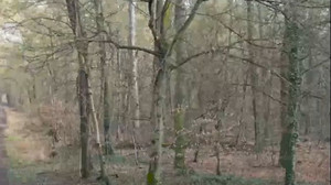 Leiche gefunden - Jugendlicher in Mannheim festgenommen