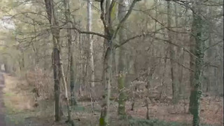 Leiche gefunden - Jugendlicher in Mannheim festgenommen