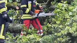 Unwetterchaos nach der Hitze: Umgestürzte Bäume und überflutete Straßen in BaWü