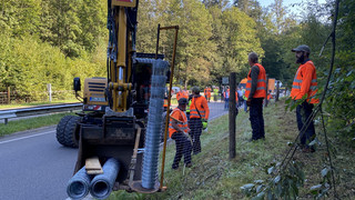 60 Kilometer langer Zaun gegen die Schweinepest in Südhessen