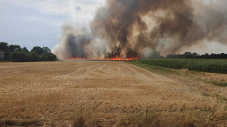 Feuer bei Weiterstadt: Mehr als 100.000 Quadratmeter Acker in Flammen
