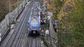 München: Regionalzug fährt gegen umgestürzten Baum
