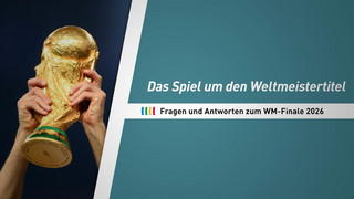Europameister gegen Titelverteidiger: Fragen und Antworten zum WM-Finale