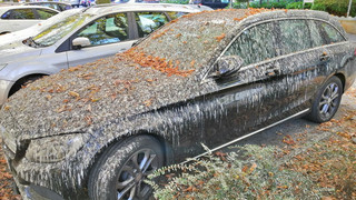 Vogelkot-Attacke in Wiesbaden: Auto richtig putzen