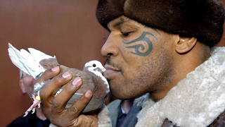 Promi-Marotten: Diese Macken haben Stars