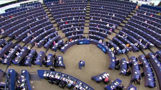 AfD-Spitze strebt Austritt aus ID-Partei an