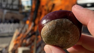 Lullusfest in Bad Hersfeld ist zu Ende: Stadt zählt 500.000 Besucher