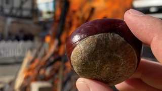 Neuer Kastanienmeister für das Lullusfest in Bad Hersfeld gesucht