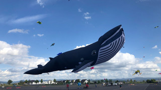 Events in Hessen am Wochenende: Feste feiern und genießen