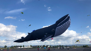 Events in Hessen am Wochenende: Feste feiern und genießen