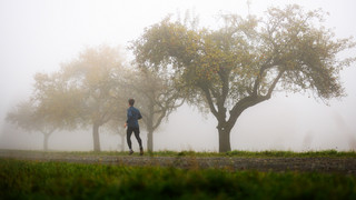 Hessen im Herbst Schlusslicht bei Sonnenschein
