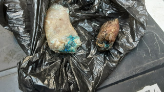 Tierhasser in Schwalmstadt-Treysa: Giftköder beim Festplatz abgelegt