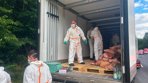 21 Tonnen Schweinekeulen: LKW-Unfall bei Bad Brückenau