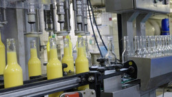 Bester Eierlikör Deutschlands? ON hinter den Kulissen bei Dworzak Spirituosen!