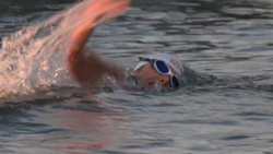 Von Frankfurt nach Köln: Extremschwimmerin startet Fluss-Challenge