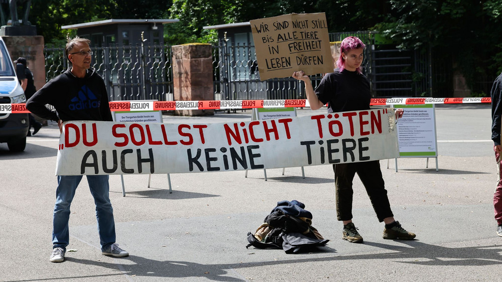 Debatte über Pavian-Tötung - Tiergarten ein Tag geschlossen