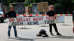 Mehr als 100 Anzeigen nach Nürnberger Pavian-Tötung