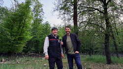 Maikäfer-Massenflug rollt bald durchs Hessische Ried