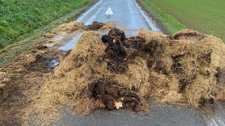 Ihm stinkt der viele Verkehr: Bauer kippt Mist auf Straße in Löhnberg