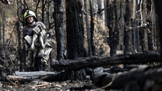 4500 Einsatzkräfte beteiligt: Waldbrand in Münster ist gelöscht