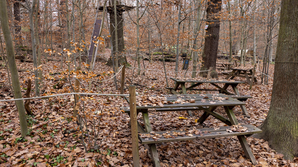 Erholung vor der Haustür: Holztische und -bänke stehen im Laub auf dem Neroberg, Teil des Stadtwaldes Wiesbaden.