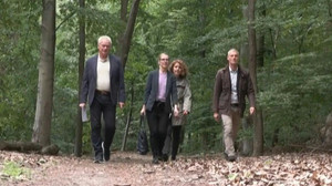 Nur jeder fünfte Baum in Deutschland ist gesund