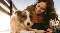 Jobcenter muss Tierfutter und Versicherung für Hund zahlen