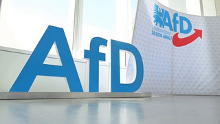 AfD-Alleinregierung in Sachsen-Anhalt? Was die Partei vorhat