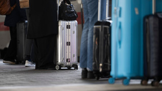 Frankfurt, Hanau: 260.000€-Kofferdiebstahl an Bahnsteigen