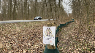 Shuttle-Service für Amphibien: Viele Ehrenamtliche nachts im Einsatz