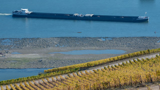 Bundesländer am Rhein einig: Vertiefung der Fahrrinne muss kommen