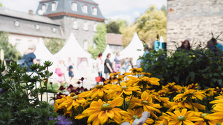 Herbstzauber am Laubacher Schloss