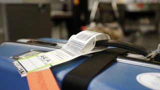 Lustiges Reisegepäck am Airport Frankfurt: Mann reist mit Stock