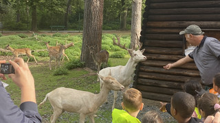 Weißer Hirsch heißt Fridolin: Hirschtaufe im Wildgehege in Rüsselsheim