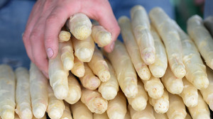 Einkaufs-Tipp: So erkennt ihr frischen Spargel