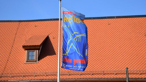 Tag gegen Gewalt an Frauen: Aktionen in Fulda