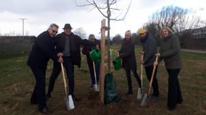Kassel: Pilotprojekt "Urbaner Waldgarten"