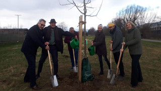 Kassel: Pilotprojekt "Urbaner Waldgarten"