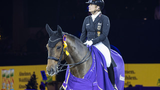 Wiesbadener Pfingsttunier: Mehre deutsche Elite-Reiter sind mit dabei
