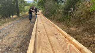 Tolles neues Ausflugsziel: Elf Kugelbahnen mitten im Wald in Rotenburg