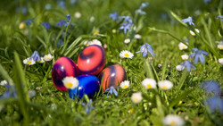 Rund ums Ei im Wiesbadener Museum