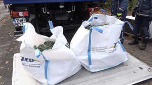 Cannabis-Handel: Razzien in Nordrhein-Westfalen und Niedersachsen